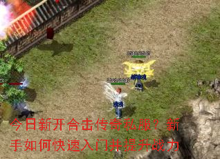 �����¿��ϻ�����˽����������ο������Ų�����ս��