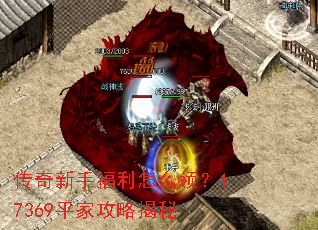 �������ָ�����ô�죿17369ƽ�ҹ��Խ���