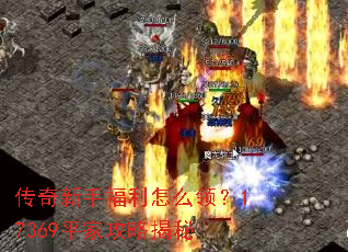 �������ָ�����ô�죿17369ƽ�ҹ��Խ���