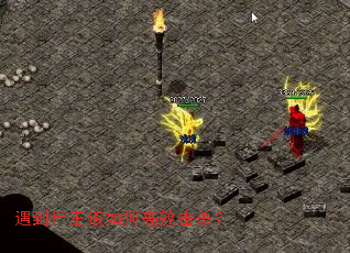 ����ʬ������θ�Ч��ɱ��