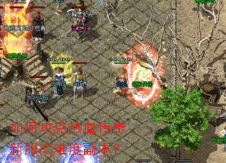 ��ι�����Ѫ�����·����Ѷȸ�����