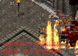 ��ο�������120��������Ѫ���棿�����ռ�ָ������