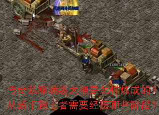 ����˽�������������������ɵģ������ֵ�������Ҫ������Щ�׶Σ�