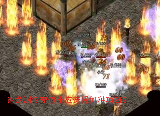 ����Ԩ�����ʿӦѡ�����������