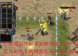 37��ڤ����������ο������֣��Ӳ��񵽸��ֵ��ɱ�֮·����Щ�ؾ���