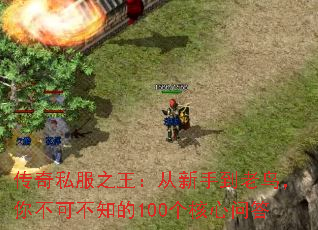 ����˽��֮���������ֵ������㲻�ɲ�֪��100�������ʴ�