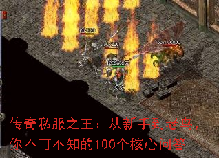 ����˽��֮���������ֵ������㲻�ɲ�֪��100�������ʴ�