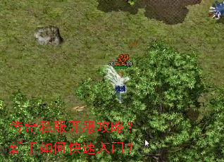 ����˽���������ԣ�������ο������ţ�