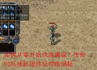 ��δ��㿪ʼ��������������RO˽���·��ռ����Խ���