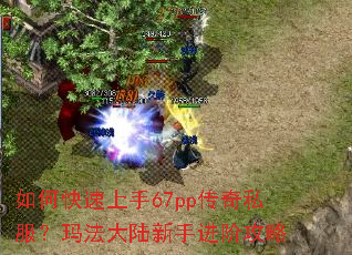 ��ο�������67pp����˽�����귨��½���ֽ��׹���
