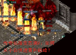 ����˽����̬��V����δ�С�׿��ٽ����۷壿