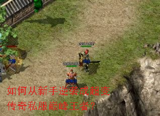 如何从新手逆袭成超变传奇私服巅峰王者? 如何从新手逆袭成超变传奇私服巅峰王者?