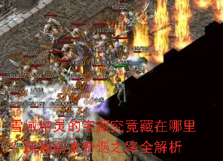 ѩ����ı��ؾ����������̽�ظ�������֮·ȫ����