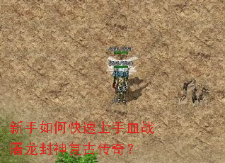 新手如何快速上手血战屠龙封神复古传奇? 新手如何快速上手血战屠龙封神复古传奇?