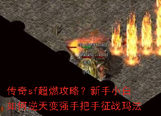 ����sf��ȼ���ԣ�����С����������ǿ�ְ�����ս�귨