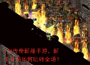 176�����·����Σ����ֿ��������תȫ����