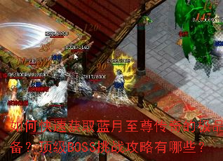 ��ο��ٻ�ȡ����������ļ�Ʒװ��������BOSS��ս��������Щ��