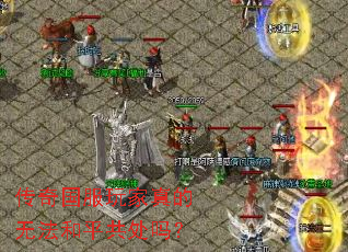 传奇国服玩家真的无法和平共处吗? 传奇国服玩家真的无法和平共处吗?
