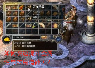 如何快速提升全属性与攻魔道能力? 如何快速提升全属性与攻魔道能力?