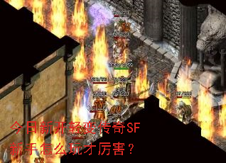 今日新开轻变传奇SF新手怎么玩才厉害? 今日新开轻变传奇SF新手怎么玩才厉害?