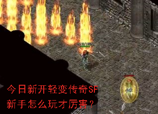今日新开轻变传奇SF新手怎么玩才厉害? 今日新开轻变传奇SF新手怎么玩才厉害?