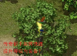 传奇新手如何快速提升等级与装备? 传奇新手如何快速提升等级与装备?