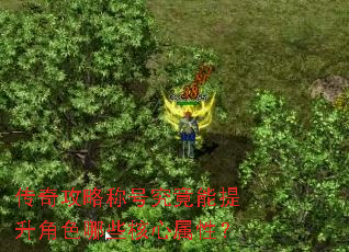 传奇攻略称号究竟能提升角色哪些核心属性? 传奇攻略称号究竟能提升角色哪些核心属性?