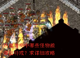 热血传奇中哪些怪物能爆出特戒?求详细攻略 热血传奇中哪些怪物能爆出特戒?求详细攻略