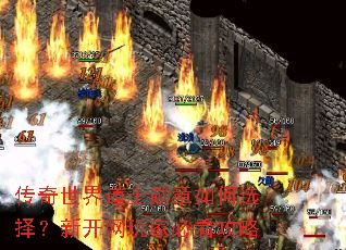 传奇世界道士勋章如何选择?新开网玩家必看攻略 传奇世界道士勋章如何选择?新开网玩家必看攻略