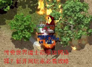 传奇世界道士勋章如何选择?新开网玩家必看攻略 传奇世界道士勋章如何选择?新开网玩家必看攻略