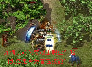 如何玩转传奇战士职业?逐日剑法是否为首选技能? 如何玩转传奇战士职业?逐日剑法是否为首选技能?
