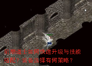 前期道士如何快速升级与技能搭配?装备选择有何策略? 前期道士如何快速升级与技能搭配?装备选择有何策略?