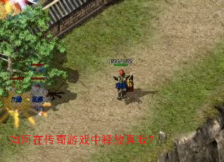 如何在传奇游戏中释放真我? 如何在传奇游戏中释放真我?