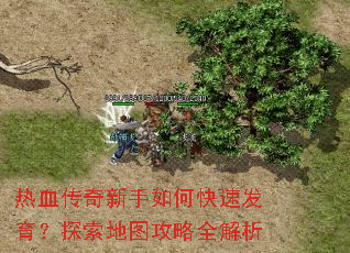 热血传奇新手如何快速发育?探索地图攻略全解析 热血传奇新手如何快速发育?探索地图攻略全解析