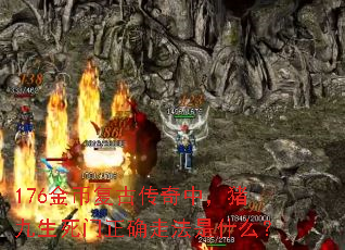 176金币复古传奇中,猪九生死门正确走法是什么? 176金币复古传奇中,猪九生死门正确走法是什么?