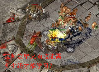 法师流星火雨技能需多少级才能学习? 法师流星火雨技能需多少级才能学习?