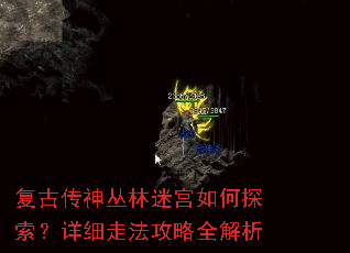 ���Ŵ�������Թ����̽������ϸ�߷�����ȫ����