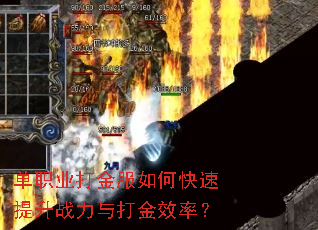 ��ְҵ������ο�������ս������Ч�ʣ�