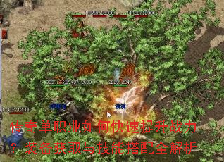 ���浥ְҵ��ο�������ս����װ����ȡ�뼼�ܴ���ȫ����