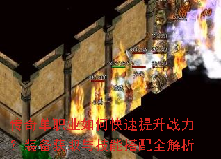 ���浥ְҵ��ο�������ս����װ����ȡ�뼼�ܴ���ȫ����