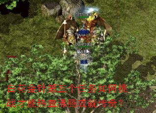 白花金针第五个任务如何挑战才能热血沸腾成就传奇? 白花金针第五个任务如何挑战才能热血沸腾成就传奇?
