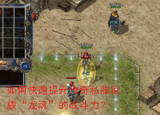 如何快速提升传奇私服家族“龙魂”的战斗力? 如何快速提升传奇私服家族“龙魂”的战斗力?