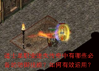 ��ʿ��ְҵ��ʧ����������Щ�ر��ķ������ܣ������Ч���ã�