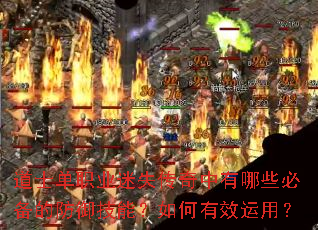 ��ʿ��ְҵ��ʧ����������Щ�ر��ķ������ܣ������Ч���ã�