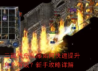三藏传奇私服如何快速提升角色等级?新手攻略详解 三藏传奇私服如何快速提升角色等级?新手攻略详解