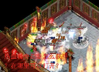 热血传奇勋章怎么获得?在哪里可以打开? 热血传奇勋章怎么获得?在哪里可以打开?