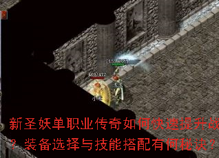 新圣妖单职业传奇如何快速提升战力?装备选择与技能搭配有何秘诀? 新圣妖单职业传奇如何快速提升战力?装备选择与技能搭配有何秘诀?