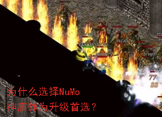 Ϊʲôѡ��NuMo������Ϊ������ѡ��