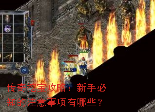 传奇挖宝攻略:新手必知的注意事项有哪些? 传奇挖宝攻略:新手必知的注意事项有哪些?