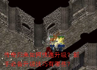 ���������ο������������ֱر�������������Щ��